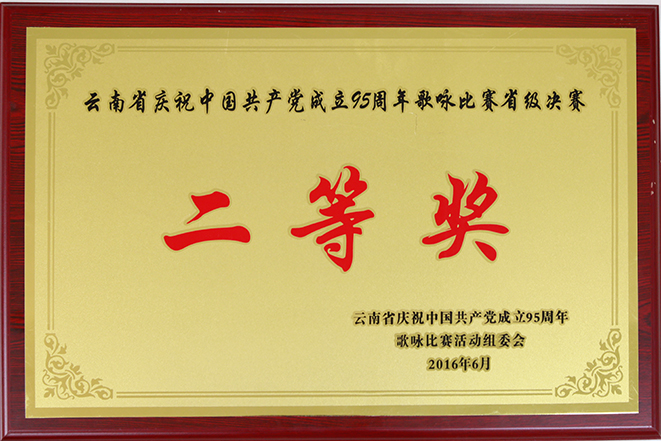 工投榮獲中國共產黨成立95周年歌詠比賽省級決賽二等...